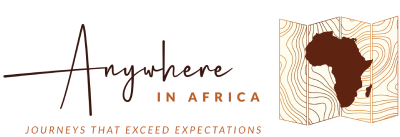 Anywhere in Africa Safaris